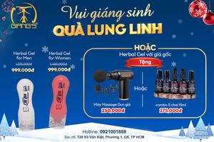 VUI GIÁNG SINH - QUÀ LUNG LINH