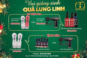 VUI GIÁNG SINH - QUÀ LUNG LINH