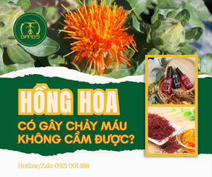 DÙNG HỒNG HOA CÓ GÂY CHẢY MÁU KHÔNG CẦM ĐƯỢC?